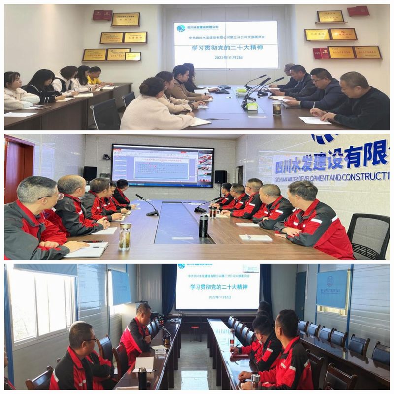 三分公司黨支部、龍塘項目部黨支部和亭子口項目部第二支部聯合組織召開傳達學習黨的二十大精神大會