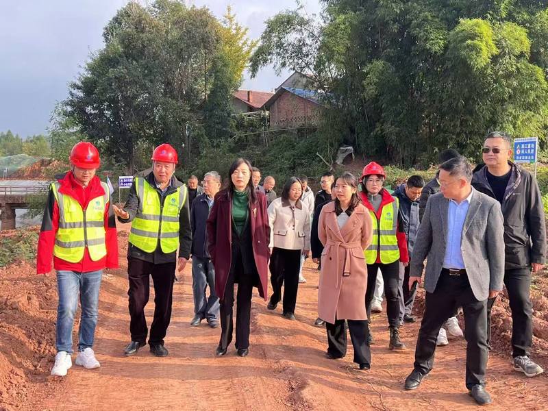 水利廳赴樂至縣小陽化河童家鎮(zhèn)陳家祠段防洪治理工程調(diào)研指導工作