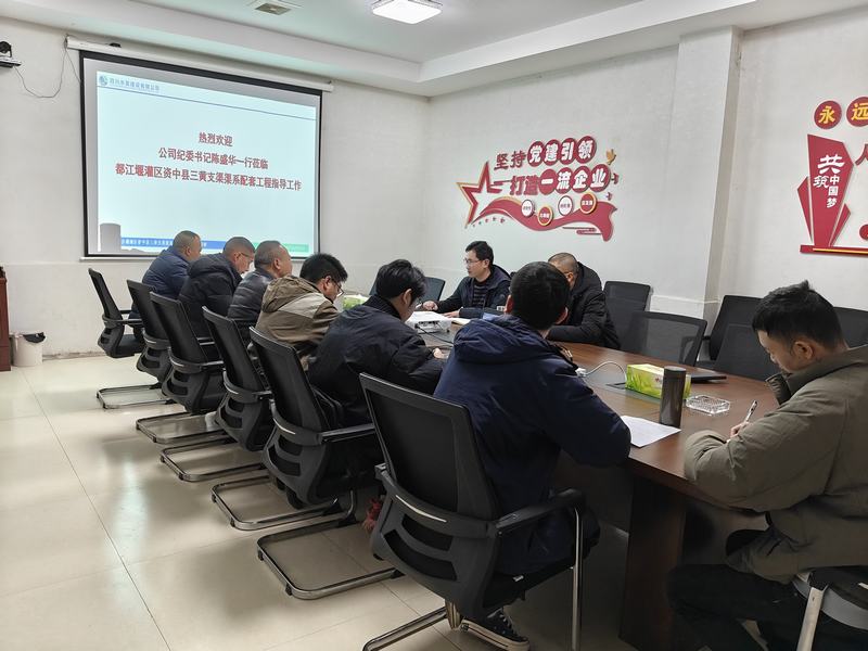 陳盛華到三黃支渠項目調研